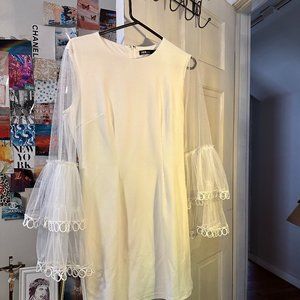 Vici Statement Sleeve Dress